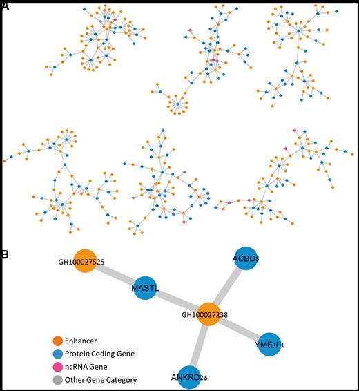 The gene–enhancer bipartite network in GeneHancer. (A) Representative six components of the ‘double elite’ (stringent) network, using elite enhancers and elite enhancer–gene pairs. (B) A single sub-network component with four genes and two enhancers, in which two of the genes, MASTL and ANKRD26, are linked to a mutual enhancer (GH100027238), and are also strongly associated with the Thrombocytopenia 2 disease.