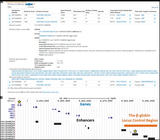 GeneHancer content in GeneCards. (A) An example of an enhancer table as portrayed in GeneCards for the HBB gene. Each row in this table describes a candidate enhancer associated with the HBB gene. For every enhancer, the following annotations are included: GHid (a unique and informative GeneHancer enhancer identifier, provided by the GeneLoc algorithm), confidence score (enhancers supported by two or more evidence sources are defined as elite enhancers and annotated accordingly with an asterisk), the sources with evidence for the enhancer, genomic size and a list of TFs having TFBSs within the enhancer. For every gene–enhancer association the following annotations are displayed: a general score for the gene–enhancer association (associations supported by two or more methods are defined to be elite and annotated accordingly with an asterisk), gene–enhancer distance (calculated between the enhancer midpoint and the gene TSS, positive for downstream and negative for upstream), number of genes having a TSS between the gene and the enhancer, and a list of other genes being associated with the enhancer. The expanded view, in this example for GH11E005279, shows also genomic location of the enhancer, and additional source-specific annotations such as identifiers, genomic locations, enhancer type (proximal/distal), a list of biological samples with evidence for the enhancer, eRNA expression strength (maximum pooled expression of eRNA CAGE tag clusters), tissue pattern and tissue pattern reproducibility. Additionally, the expanded view provides method-specific scores for the gene–enhancer association [P-values for eQTLs and co-expression, log(observed/expected) for CHi-C and distance-inferred probability score]. A link to a UCSC GeneCards custom track presenting all enhancers within 100 kb from the gene is located below the enhancers table. The screenshot was taken from GeneCards version 4.3 website. (B) GeneCards UCSC custom track view of the beta-globin locus. The enhancer expanded in the table, GH11E005279, is an elite enhancer with an elite association with HBB.