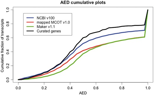 Annotation edit distance (AED) plot comparing NCBI v100 annotation (20 996), the mapped MCOT v1.0 annotation (19 744), Maker v1.1 (18 205) and curated genes (530) generated from a genome-guided transcriptome assembly based upon the NCBI-Diaci1.1 genome. AED cumulative fraction of transcripts plot shows that genes in the NCBI v100 annotation have more expression evidence support compared to MCOT v1.0 mapped set. Curated genes show better evidence support compared to any other automated prediction pipelines.