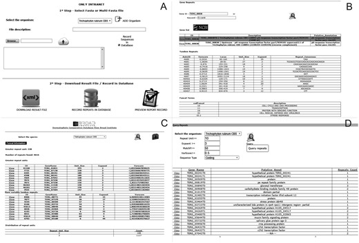 Screens of the web pipeline. (A) Submission form of the fasta file for the identification and storage of repetitive sequences. (B) Query of repeats and functional information of the dermatophyte Trichophyton rubrum. (C) Profile of repeats existing in a certain organism. (D) Query of repeats in an organism using filters.
