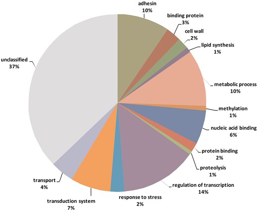 Functional categories of genes containing variable tandem repeats.
