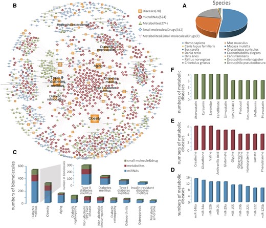 Network and distribution of data in BioM2MetDisease. (A) Statistics and distributions of species. (B) The biomolecule-metabolic disease bipartite network. Nodes correspond to biomolecules (miRNAs, metabolites, small molecules/drugs) and metabolic diseases, and the edges correspond to experimentally supported associations. The size of the nodes corresponds to the nodes’ degree. Distributions of the top ten high connectivity nodes of each category: metabolic diseases (C), miRNAs (D), metabolites (E) and small molecules/drugs (F).