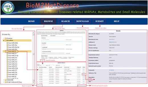 A schematic workflow of BioM2MetDisease.