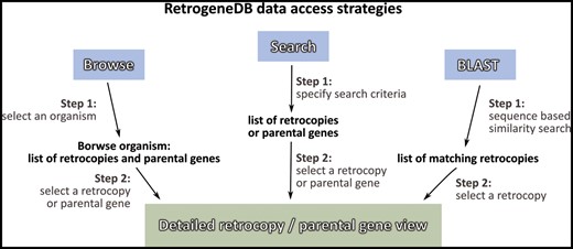 RetrogeneDB data access strategies.