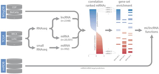 Schematic overview of the analysis workflow and the online repositories used (CGP = chemical and genetic perturbations, BRCA = breast invasive carcinoma, LUSC = lung squamous cell carcinoma).