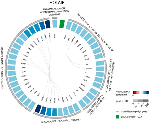 Circos plot representing significant gene sets for the lncRNA HOTAIR in breast tumor tissue, focusing on the CGP gene set.