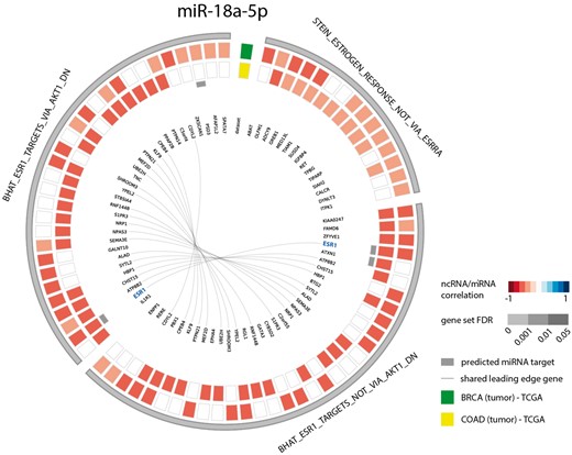 Circos plot representing significant ESR1 associated gene sets for microRNA hsa-miR-18a-5p in breast and colon cancer (COAD = colon adenocarcinoma, BRCA = breast cancer).