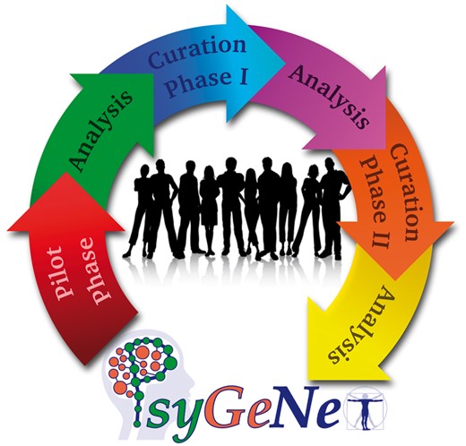 The PsyGeNET curation workflow. The workflow includes: a) a Pilot phase for training of the curators and testing of the annotation tool, b) Curation Phase I and II where the curation of the text-mined data took place, and c) three Analysis phases after each curation to analyze the results and prepare the data for the next stage.