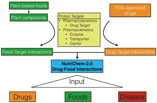 The flowchart of the “Drug–Food Interactions” section of NutriChem-2.0 and the three different query options (drugs, foods and disease).