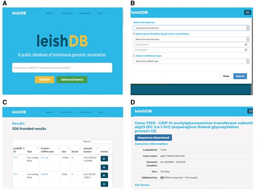 Search methods and results pages from LeishDB. (A) Simple search using user defined free-text keywords. (B) Advanced search using a chromosome, a genomic coordinate or a ncRNA class of interest. (C) Search result containing a list of retrieved predictions according to the search performed. (D) Specific page for a particular coding gene or non-coding RNA of interest.