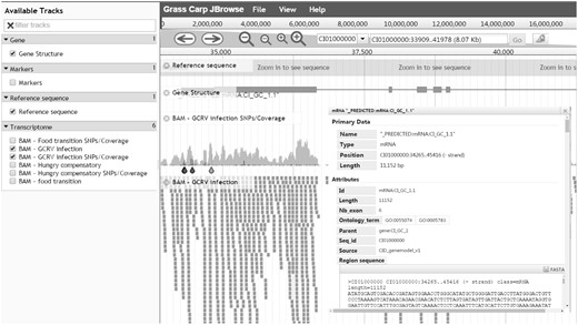 Genome visualization - JBrowse interface for navigation of genome annotations. All available data are displayed in the left frame for selection and selected data are graphically shown on the right frame. Details of a predicted protein-coding gene can be visualized after clicking on the gene.