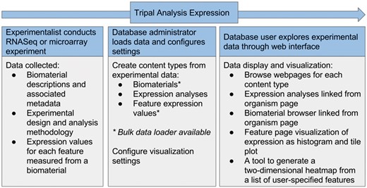 Flow of data in the Tripal Analysis Expression module. Either RNASeq or microarray experimental data can be utilized and needs to include biomaterias, design and analysis methodology and expression values. From within a web interface, a site administrator can add and configure this content, yielding a number of visual interfaces for users to explore the data.