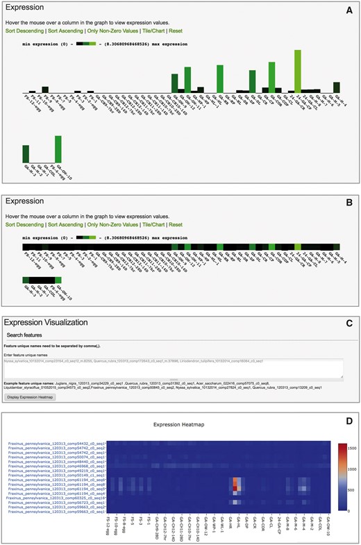 User interface of Tripal Analysis Expression module. (A) The feature page initially displays expression values as a bar chart. (B) Users may toggle the the barchart to a one-dimensional heatmap. (C) An interactive tool allows users to paste in a list of feature ids of interest. (D) The tool will create a two dimensional heatmap of the feature expression values across all available biomaterials. This heatmap displays ubiquitin transcripts (top eight rows) vs. heat-shock transcripts (bottom eight rows) from Fraxinus pennsylvanica (green ash). Hovering over the boxes with red and orange color in the online heatmap reveals that they are derived from petioles and leaves exposed to heat stress (40 °C for 24 h).