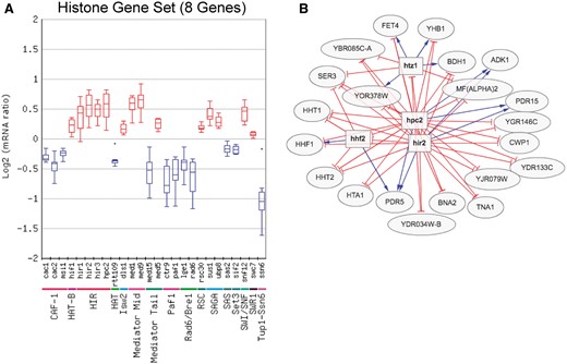 (A) Box plot output of the Gene Set Viewer tool, displaying changes in the expression of the core histone genes (HTA1, HTA2, HTB1, HTB2, HHF1, HHF2, HHT1 and HHT2). A box plot depicting the log2 mRNA ratios of the histone genes for each regulator mutant in the chromatin regulator category is depicted. Only regulator mutants that significantly affect the expression of the histone gene set (calculated using Wilcoxon rank sum test, see methods) are displayed. Regulators are grouped by protein complex or functional category. (B) Target genes regulated by both the Hir2 and Hpc2 subunits of HIR histone chaperone and repressor complex, using a threshold of P < 0.05 and fold change >1.3 (up or down). Target genes were identified using the Regulator Targets tool, and the depicted network display is adapted from the output of this tool.