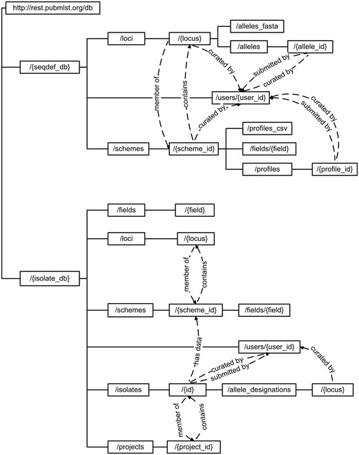Schematic of API structure. Method calls are written within boxes, with the complete URL constructed by appending the hierarchical values from the root. Terms written in curly brackets represent specific entity values. Dashed lines show where the output from one method include calls to further methods. For example, a scheme record will link to member loci, whereas a locus record will include links to schemes of which it is a member.