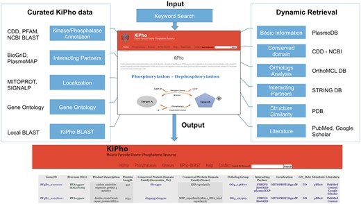 The schema for KiPho development and operational workflow.