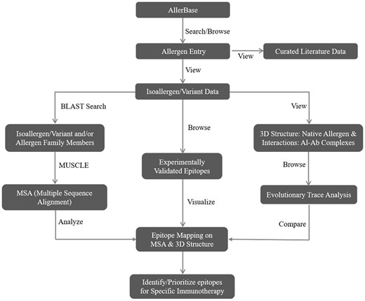A sample workflow representing application of AllerBase.