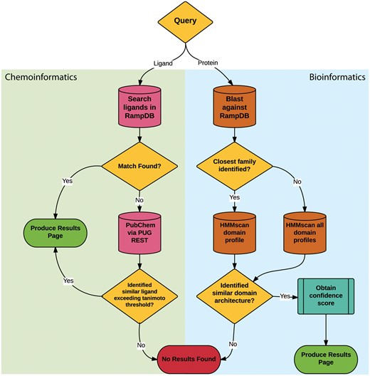 RampDB dual search utility. The flowchart illustrates the sequential steps that are deployed for the ligand (chemoinformatic) or protein (bioinformatics) search utilities. Search steps are shown as cylinders, evaluation steps are shown as diamonds and final results are shown as ovals.