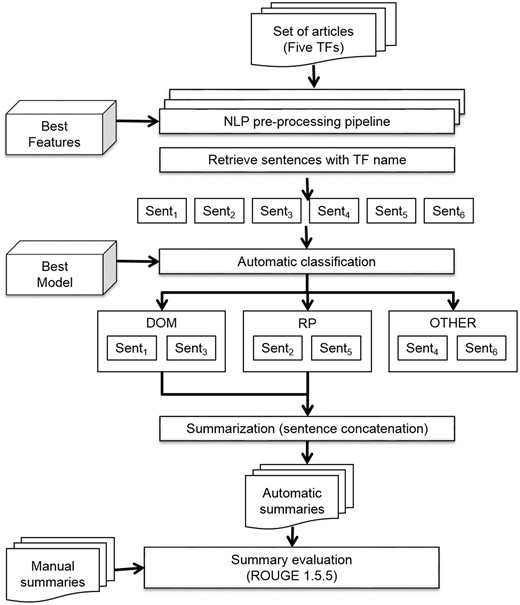 Automatic summarization pipeline.