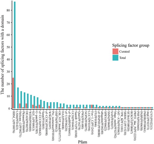 The occurrence of Pfam domain families in splicing factors. The known RNA splicing factors are annotated in UniProt according to the Pfam domain families of the protein domains found in these factors. A splicing factor may have multiple domains that belong to multiple Pfam families, and a Pfam domain family may contain domains in multiple splicing factors. The Pfam annotations were retrieved for each of 353 splicing factors, and the number of splicing factors was calculated for each of the Pfam families. For the 56 splicing factors that have curated datasets in SFMetaDB, the number of splicing factors was also calculated for the associated Pfam families. In the dodged barplots, the Pfam domain families are ranked by the number of the splicing factors which contain domains in the given families. Of the total 217 Pfam domain families annotated in UniProt, 26 Pfam domain families have ≥3 splicing factors annotated. The Pfam domain family with the most number of splicing factors is Pfam RRM_1 (PF00076). It contains 87 splicing factors, and 25 of these splicing factors have been studied according to our curation results. However, the splicing factors in the rest of the Pfam domain families have brought relatively less attention in RNA-Seq analysis, and they may be promising candidates for future studies.