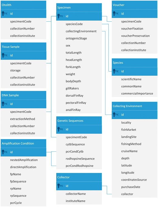 Extract from the database schema of the FishTrace catalogue showing the main tables and their relationships.