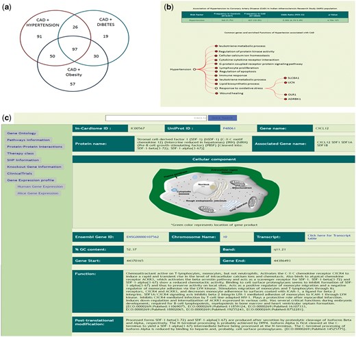(a) Genes which were identified to be associated with each of the 7 combinations of risk factors as identified using T-HOD database matching of the 995 genes. (b) Description of Hypertensive patients and risk association of Hypertension with CAD, below enriched ontologies and respective genes are shown. (c) Gene specific information and also links on left side.