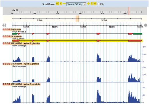 This tool allows for the visualization of a gene in the genomic context. Through its use, it is possible to identify new isoforms of known genes, new genes and SNPs looking for the coverage of mapped reads for the transcript in each library.