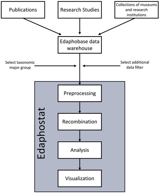 Workflow of Edaphostat. Data from different sources, which are stored in the Edaphobase data warehouse can be selected and filtered. Edaphostat queries these data, prepares and analyzes it automatically.
