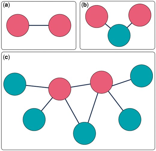 Three interaction extraction types: (a) direct interaction; (b) including connectors; (c) all neighbors.