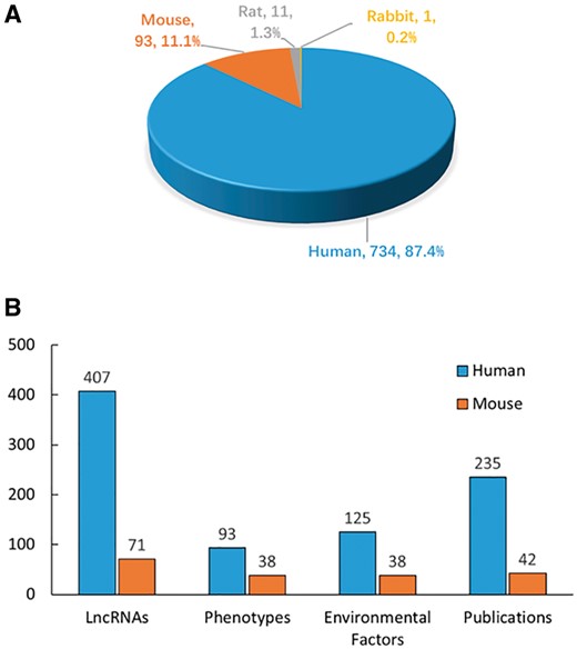 Statistics and distribution of data in DLREFD. (A) Entry distribution in different species. (B) Number of lncRNAs, phenotypes, EFs and publications for human and mouse.