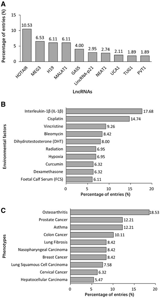 Summary statistics about lncRNA, EF and phenotype data registered in the database. (A) Distribution of top 10 lncRNAs. (B) Distribution of top 10 EFs. (C) Distribution of top 10 phenotypes.