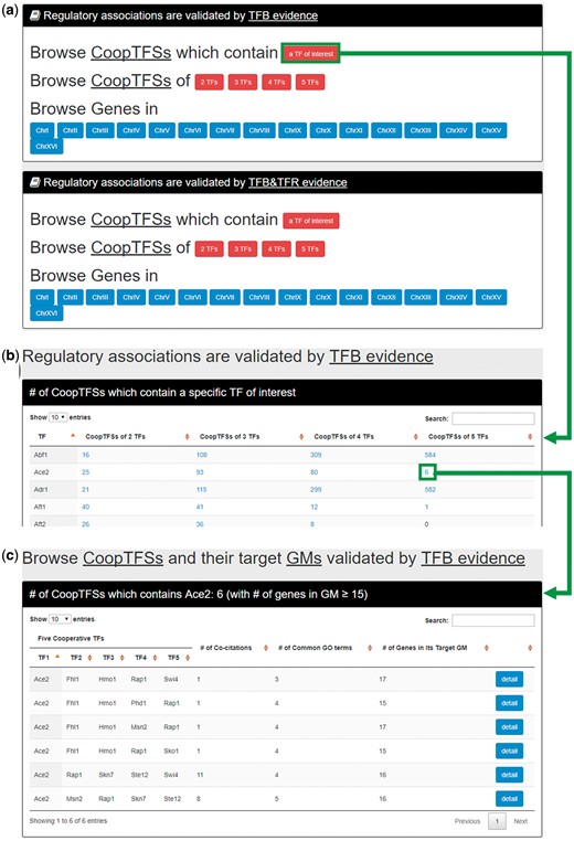 The input and output pages of the first browse mode. (a) In the first browse mode (i.e. browse by TFs), users have to select the experimental evidence (TFB or TFB&TFR) of the regulatory associations. (b) After submission, YGMD returns the number of CoopTFSs which contain a TF of interest. (c) The detailed information of the CoopTFSs could be found by clicking the number.