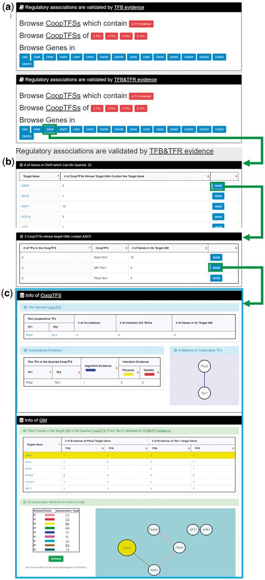 The input and output pages of the third browse mode. (a) In the third browse mode (i.e. browse by chromosomes), users have to select a specific chromosome of interest and the experimental evidence (TFB or TFB&TFR) of the regulatory associations. (b) After submission, YGMD returns all genes in that specific chromosome. For each gene, the number of all possible CoopTFSs whose target GMs contain the gene of interest is shown. (c) The detailed information of each CoopTFS could be found by clicking the ‘detail’ button.