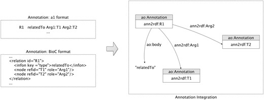 Relation model: sample extraction of the integration and representation of a relatedTo annotation relationship.