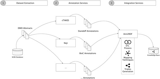 Validation workflow overview. (1) Dataset is extracted from the NCBI database. (2) Neji and cTAKES API services were used for information extraction, generating diverse outputs and formats. Additional annotation services can be used. (3) Annotations are forwarded and integrated into a unified model and stored in an accessible knowledge base.