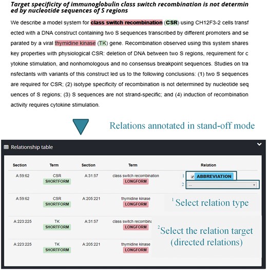 Illustration of the Markyt tabular annotation perspective for entities and relations.