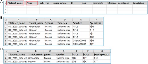Example templates downloaded from the MCL module. (A) A template for contact data type. Columns with a prefix ‘*’are required fields. (B) A template for genotype datatype, ‘genotype_snp_long_form.’ (C) A template for genotype datatype, ‘genotype_snp_wide_form.’ Users can enter marker names as column headings with a prefix ‘$.’