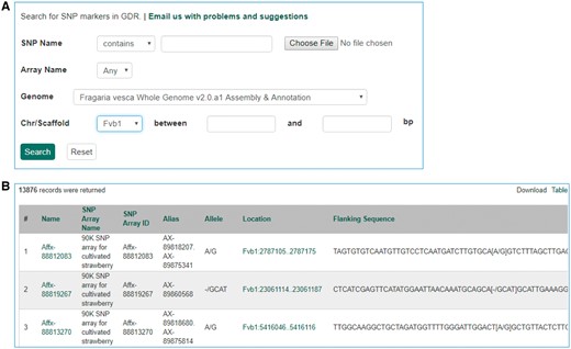 Search page for SNP markers in GDR. (A) SNP marker search page where users can search SNPs by name, SNP array name and anchored genome position. (B) The returned search results include name, SNP array name, SNP array ID, aliases, alleles, genome location and flanking sequences.