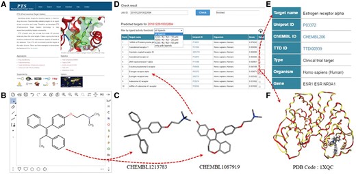 PTS working protocol. (A) Main menu, (B) chemical structure editor, (C) ligand structure from PTS builtin ligand database, (D) predicted target list, (E) target profile and (F) query molecules docked in the binding pocket of a predicted target.