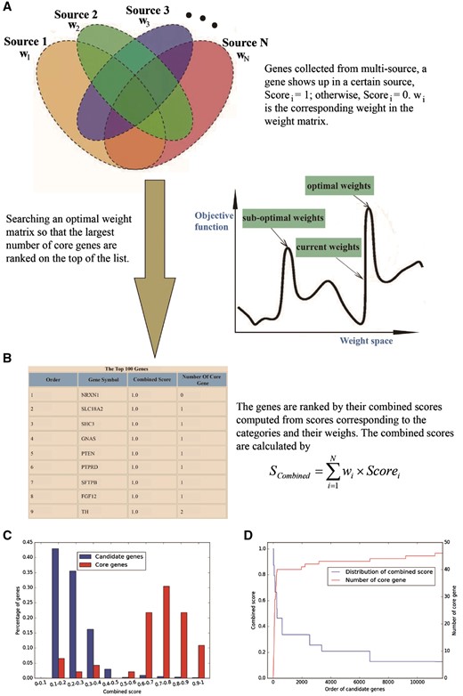 Overview of gene prioritization tool. (A) The algorithm aims at selecting the genes associated with a certain phenotype via multi-source prioritization approach. (B) The algorithm prioritizes the candidate genes through searching a set of optimal weights to obtain the combined scores to rank the genes. (C) Graphical presentation of comparative distribution of the scores of the core genes and all genes. (D) Identification of the threshold of prioritized genes.