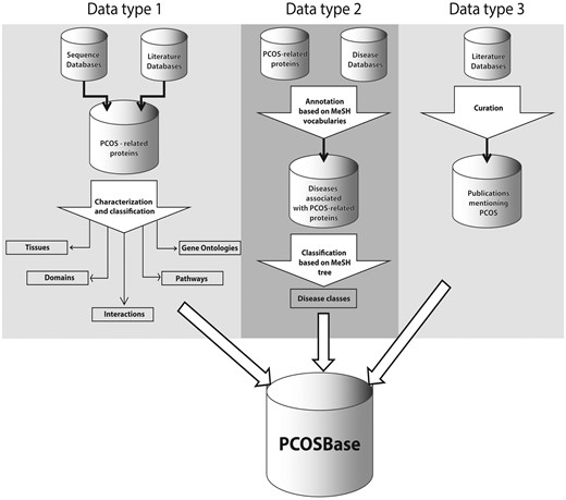 PCOSBase data types structure organization. These data types are tables that can be found in Browse and Datasets menu.