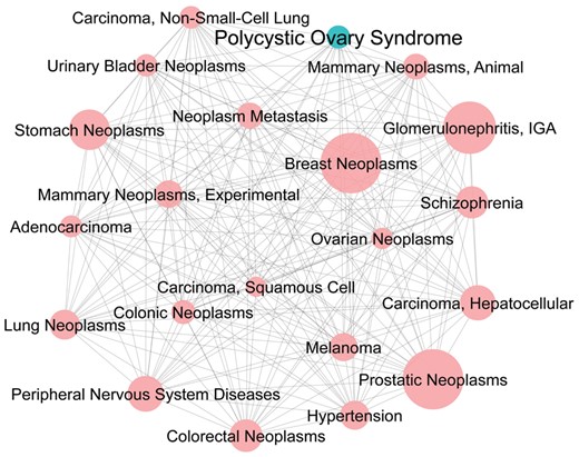 PCOS-disease interaction network. This network is predicted based on PPI and 20 diseases have been predicted to be highly associated with PCOS. The network demonstrates the complexity of PCOS-diseases association and the size of the nodes indicates the degree of association between PCOS and diseases. Green node represents PCOS and size of each node denotes number of shared proteins between PCOS and its respective associated disease.