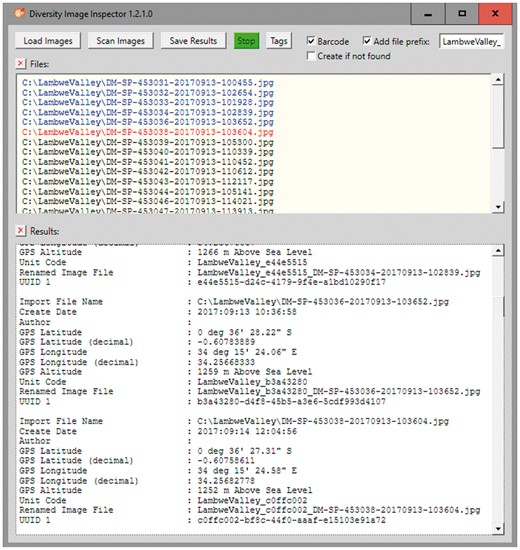 DII user interface. Image files renamed with prefix and the first 8 letters and digits of the version 4 UUID included.