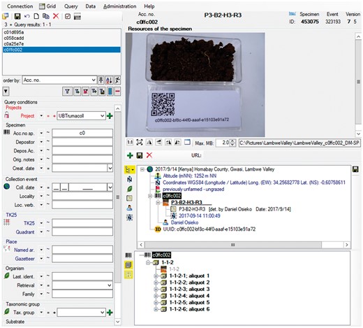 Data record in the relational database DC: objects identifier, information on occurrence, data processing and link to object images.