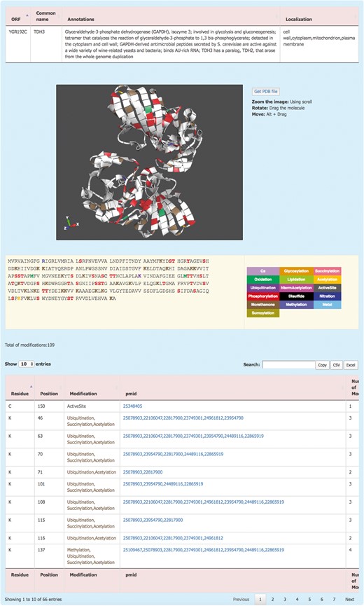 The YAAM Protein description page shows general information about the protein, the modified residues mapped in a 3D structure (when available), the linear sequence with the modified residues depicted with a colour code, the total number of modifications and, a table with the description of each one.