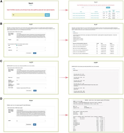 Snapshots of different functional sections provided in FishTEDB. (A) Screenshot of a keyword search results; (B) BLAST interface and a sample of BLASTn results; (C) GetORF interface and output results; (D) HMMER interface of a test protein sequence in FishTEDB.
