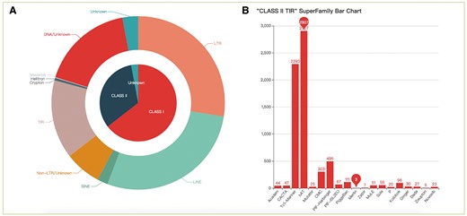 The statistics of consensus sequences. (A) Pie chart of different classes and orders; (B) Histogram of different superfamilies in TIR.