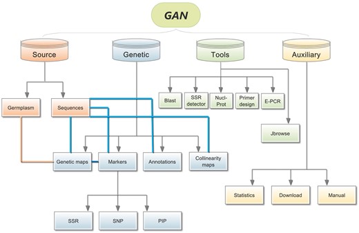Overall GAN framework. The four different colours represent the four different main sections of GAN, Source, Genetics, Tools. Connections are illustrated between related subsections using straight lines with different colours.