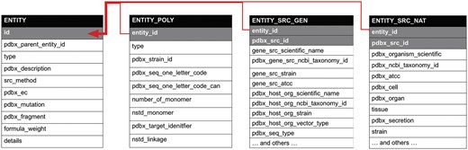 Semantic relationships in the PDBx/mmCIF dictionary. The partial diagram shows the relationships within an entity, its polymer sequence, source taxonomy and the method used to produce it. The relationships in these categories are described by a shared key identifier in a parent/child relationship as denoted with gray shading. The dictionary is available at mmcif.wwpdb.org/.