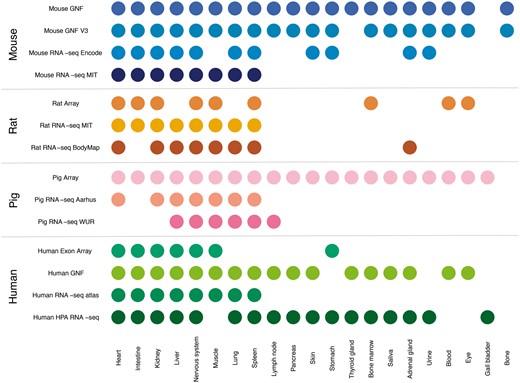 Summary of tissues present in each dataset. We mapped the newly integrated datasets from mouse, rat and pig, as well as the already existing human datasets, to 21 major tissues of interest. This figure shows which of these tissues are covered by which datasets.